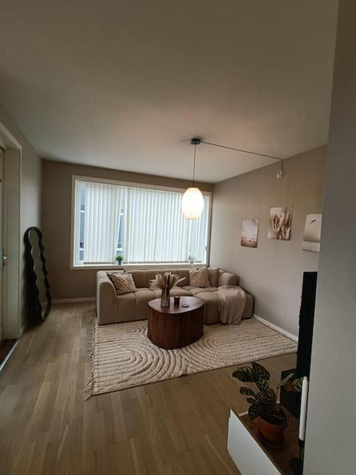 Appartement Newly Renovated With Seaview